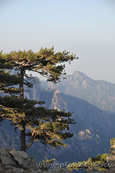 Aiguilles-de-Bavella.jpg