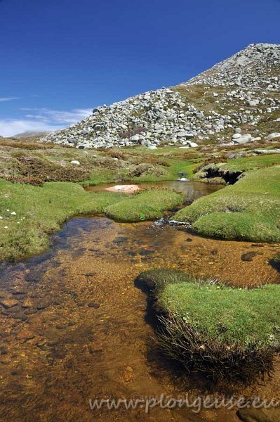 Paysage-du-Coccione.jpg