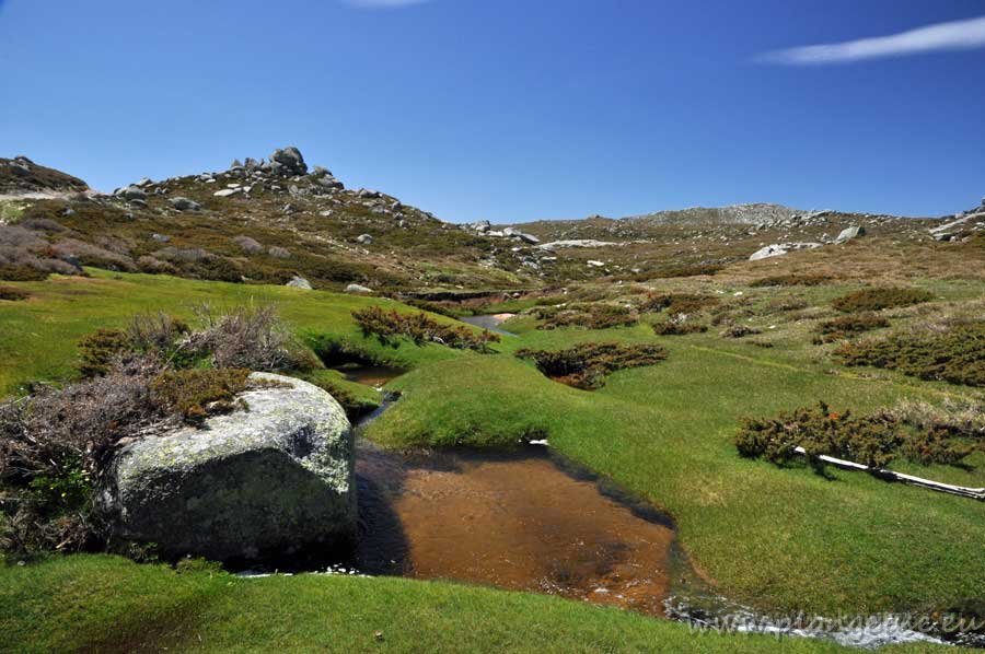Prairie-du-Coccione.jpg