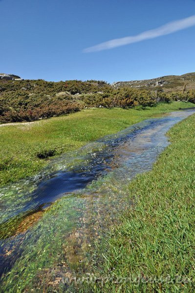 Ruisseau-2---Coccione.jpg