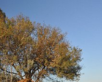 Vignes Marseillan Vignes Marseillan