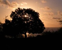 couche-soleil