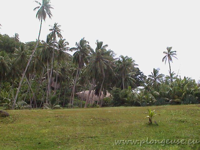 Seychelles-2.jpg