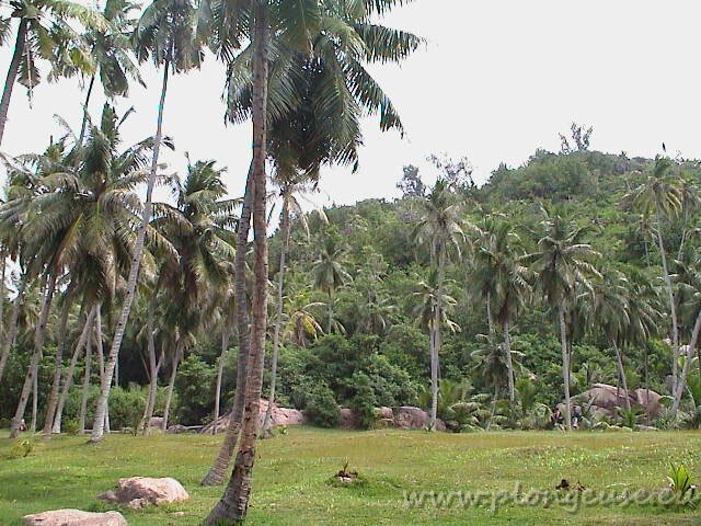 Seychelles-3.jpg