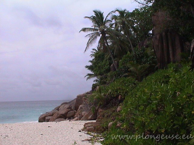 Seychelles-4.jpg