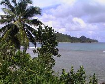 Mahe10