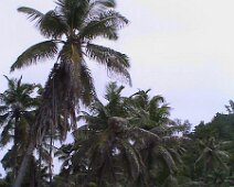 Seychelles-5