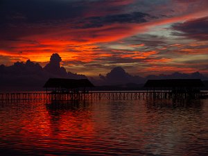Raja Ampat - west Papua - Kri 2017 le paradis des plongeurs ! Le voyage depuis la France est très très long, mais les plongées dans cet endroit magnifique en sont la récompense !