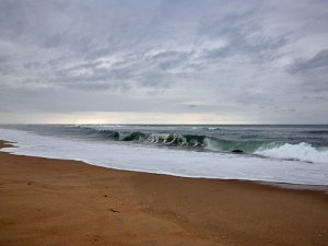 Cap Ferret