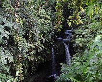 Avant-la-chute