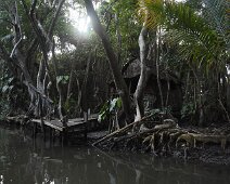 Indian-River---Dominique