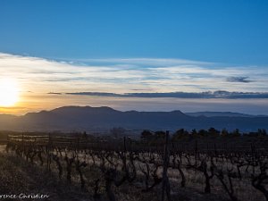 La Provence