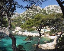 Sormiou dans les arbres Sormiou dans les arbres