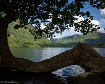 Moorea baie