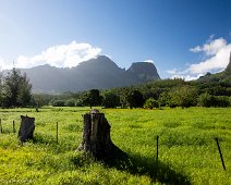 Moorea Campagne