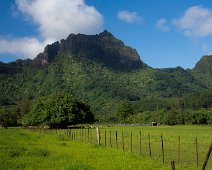 Moorea A l'intérieur