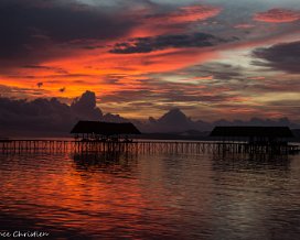 Raja Ampat - west Papua - Kri 2017 le paradis des plongeurs ! Le voyage depuis la France est très très long, mais les plongées dans cet endroit magnifique en sont la récompense !