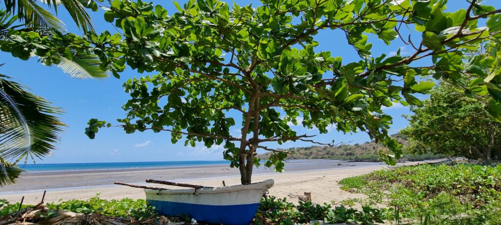 plage M'Zouasia