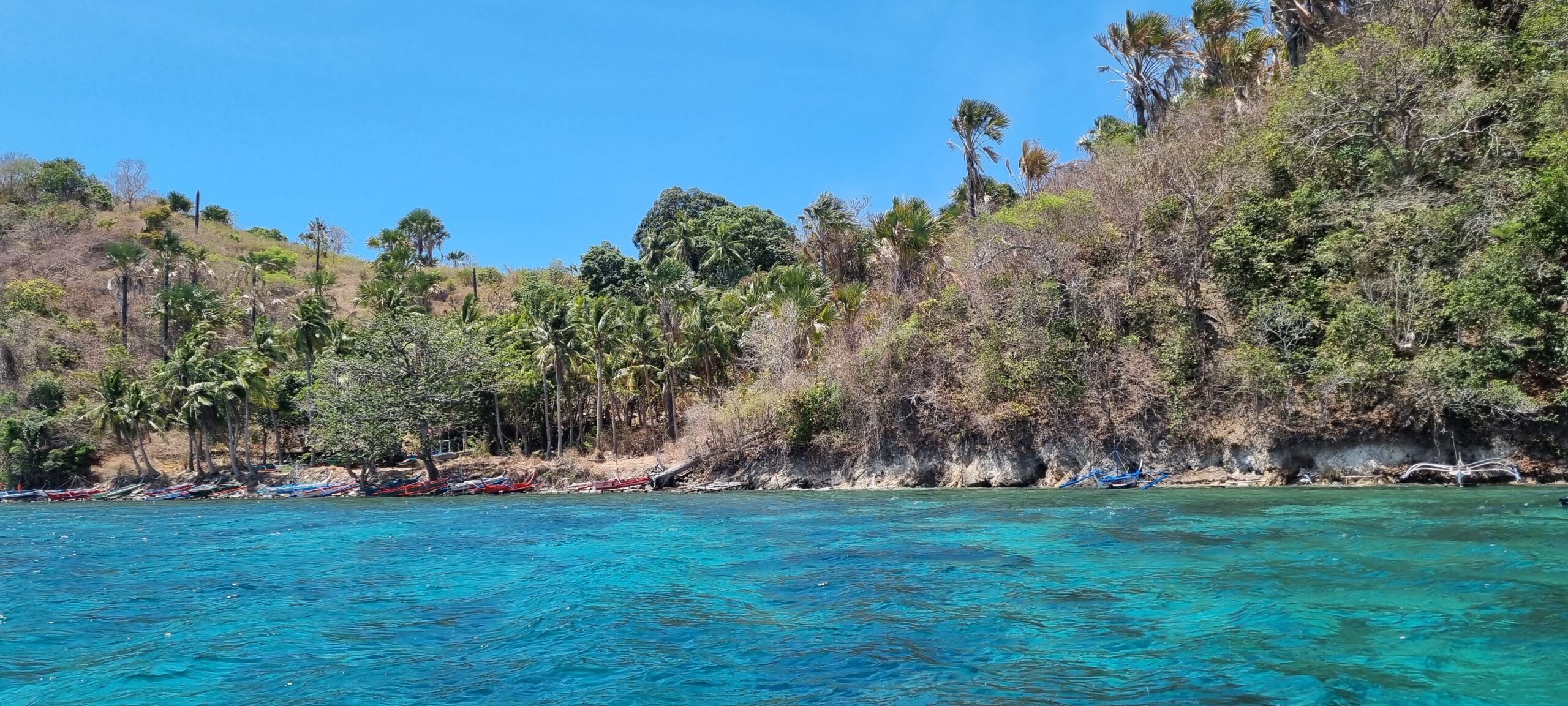 Philippines Anilao