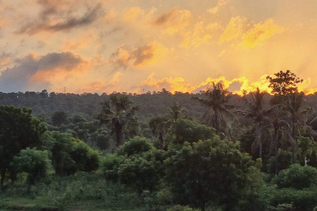 Bali, 15 ans après
