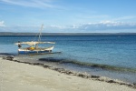 Radames Madagascar