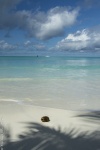Radames Madagascar