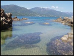Corse