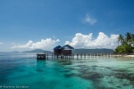 arborek Raja Ampat Indonésie